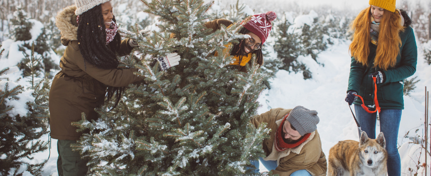 White Christmas tree decorating