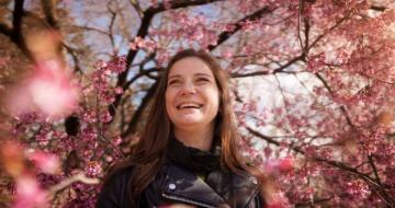 Traveller enjoying cherry blossom season in Japan