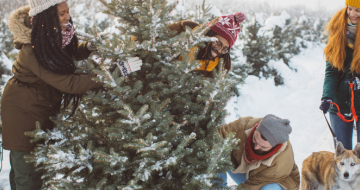 White Christmas tree 