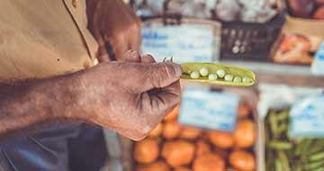 Local food on the Kokoda Trail 